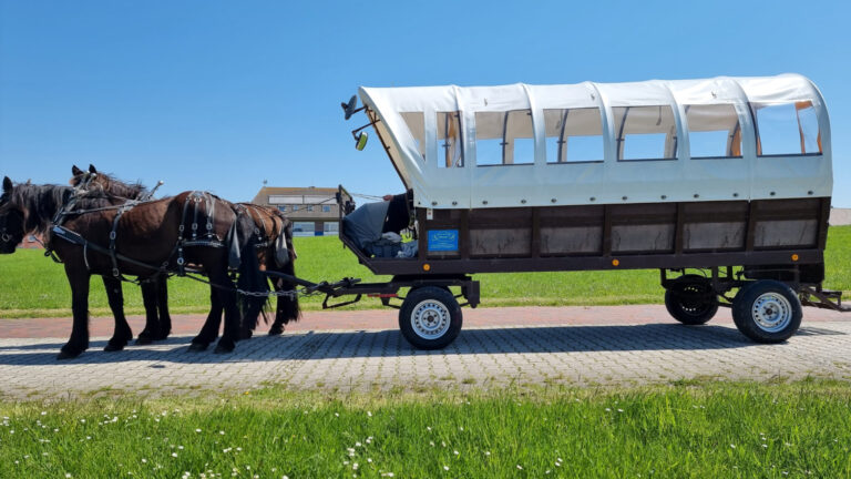 Plane für Pferdekutsche